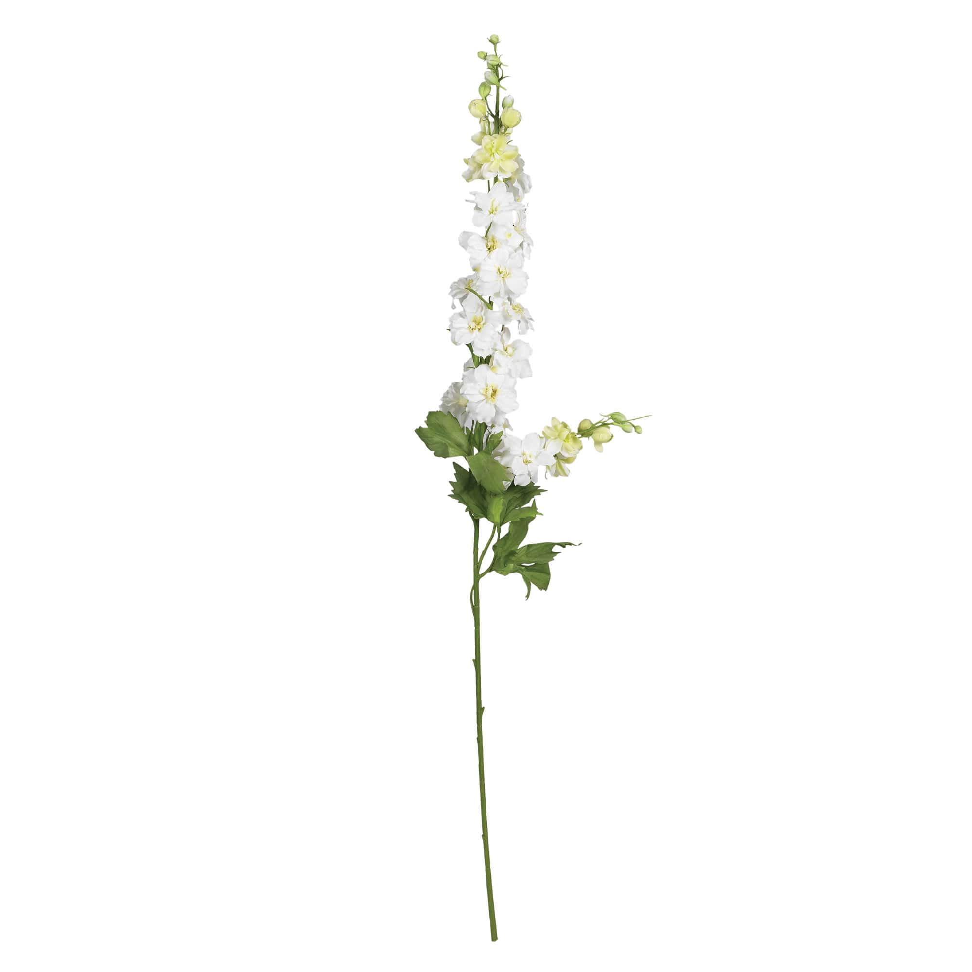 White Delphinium Stem, 12ct.